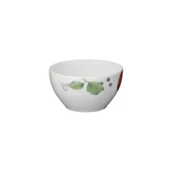 Maison Ghibli Bol Totoro Tomate - Mon Voisin Totoro
