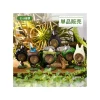 Maison Ghibli Pose Collection Totoro Assortiment de 6 Bagues - Mon Voisin Totoro