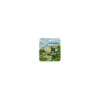 Maison Ghibli Set Magnet Totoro Voler Dans Le Vent-Mon Voisin Totoro